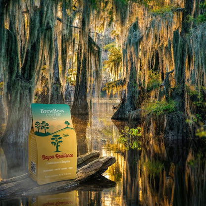Bayou Resilience